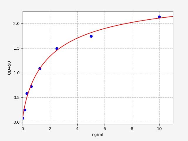 Rat Collagen Type I Alpha 2 (COL1α2) ELISA Kit EKFT17990RAT