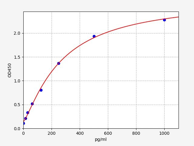 Rat Glutamate Cysteine Ligase, Modifier Subunit (GCLM) ELISA Kit EKFT18088RAT