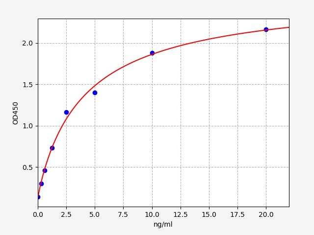 Rat Heat Shock Protein 70 (HSP-70) ELISA Kit EKFT18150RAT