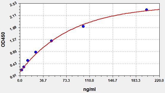 Rat Immunoglobulin E (IgE) ELISA Kit EKFT18164RAT