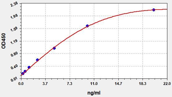 Rat Matrix Metalloproteinase 13 (MMP-13) ELISA Kit EKFT18210RAT
