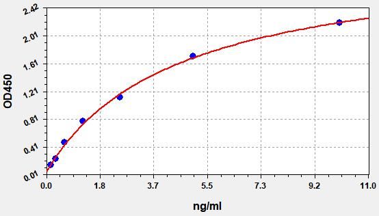 Rat Pigment Epithelium Derived Factor (PEDF) ELISA Kit EKFT18279RAT
