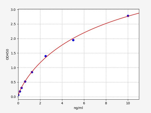 Rat Tissue Inhibitors of Metalloproteinase 3 (TIMP-3) ELISA Kit EKFT18374RAT