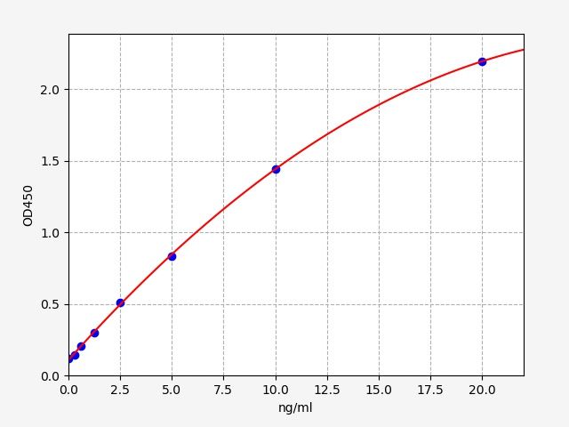 Rat Beta actin (β-actin) ELISA Kit EKFT18412RAT