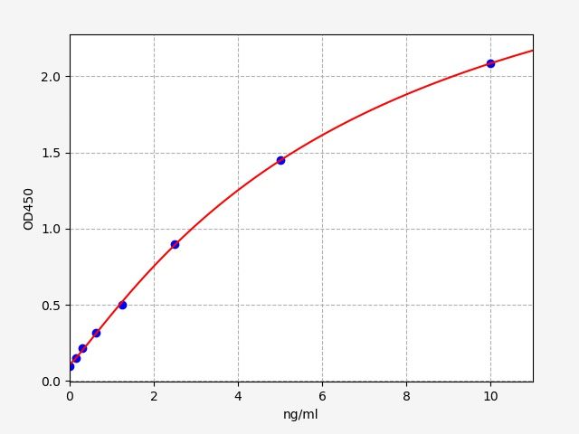 Rat Actin Alpha 2, Smooth Muscle (ACTα2) ELISA Kit EKFT18422RAT