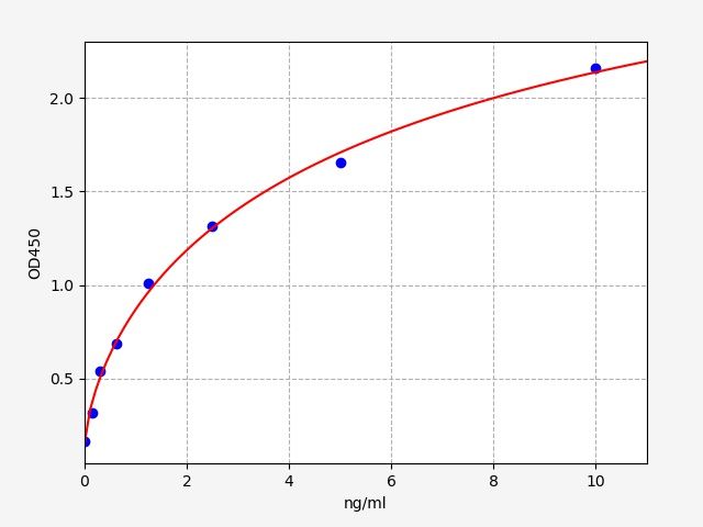 Rat Receptor Interacting Serine Treonine Kinase 1 (RIPK1) ELISA Kit EKFT18439RAT