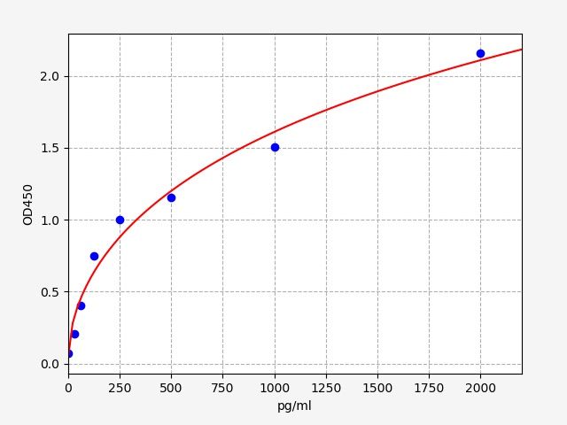 Rat RE1-Silencing Transcription Factor (REST) ELISA Kit EKFT18447RAT