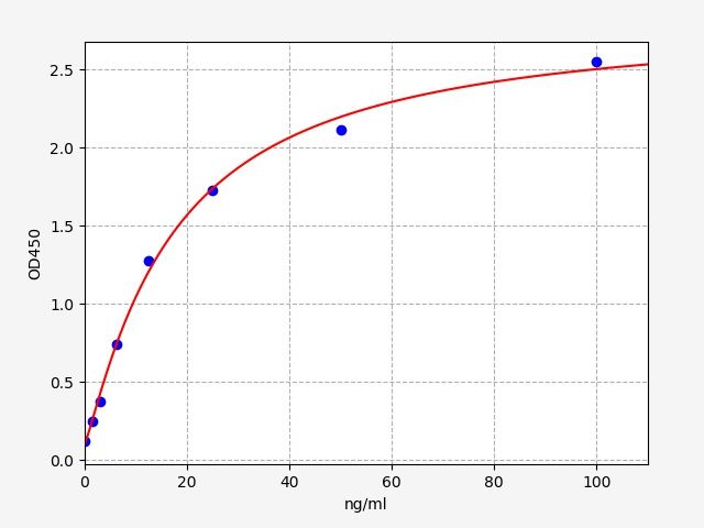Rat N-MID Osteocalcin (N-MID-OT) ELISA Kit EKFT18448RAT