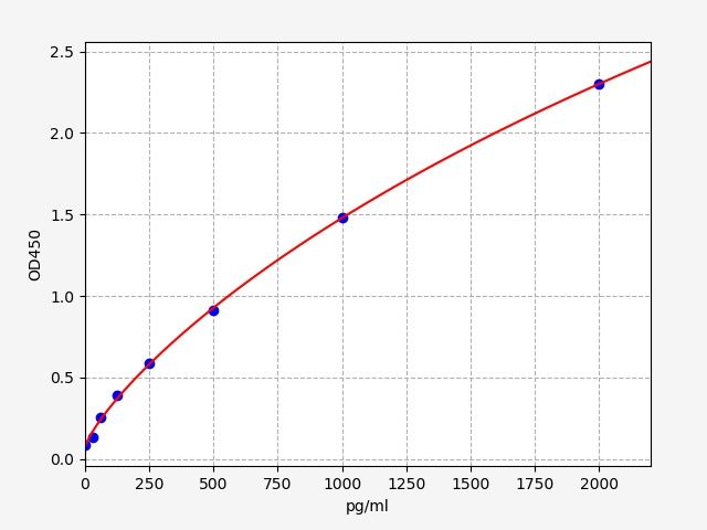 Rat Nicotinamide/nicotinic acid mononucleotide adenylyltransferase 2 (NMNAT2) ELISA Kit EKFT18465RAT