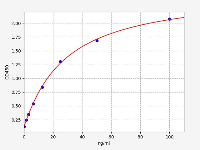 Rat Islet cell (Anti-) Antibody ELISA Kit EKFT18482RAT