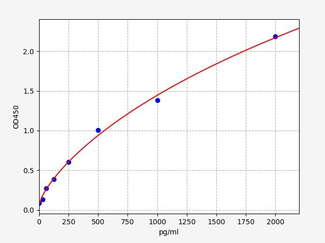 Rat Folate receptor beta (FOLR2) ELISA Kit EKFT18487RAT
