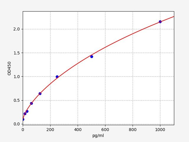 Rat Plastin-2 (LCP1) ELISA Kit EKFT18489RAT