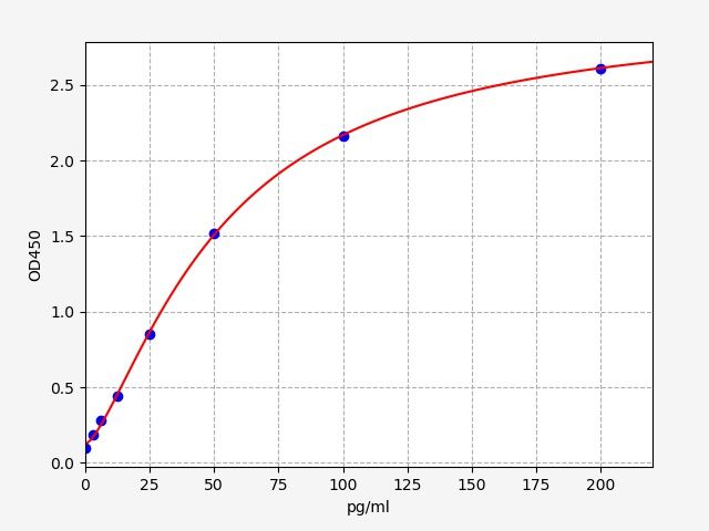 Rat IL-12/P70 (Interleukin 12 (p70)) ELISA Kit EKFT18513RAT