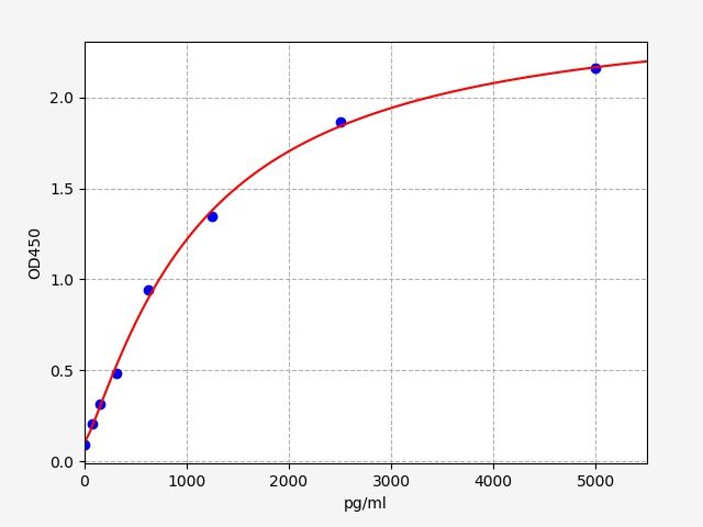 Rat Activating transcription factor 6 (ATF6) ELISA Kit EKFT18556RAT