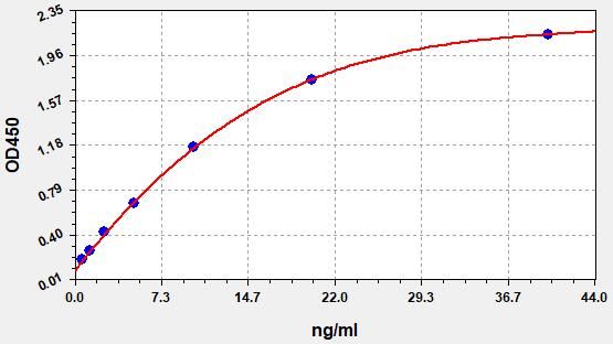 Rat Immunoglobulin E (IgE) ELISA Kit EKFT18568RAT
