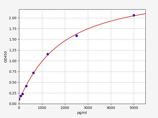 Rat Selenium-binding protein 1 (SBP1) ELISA Kit EKFT18593RAT