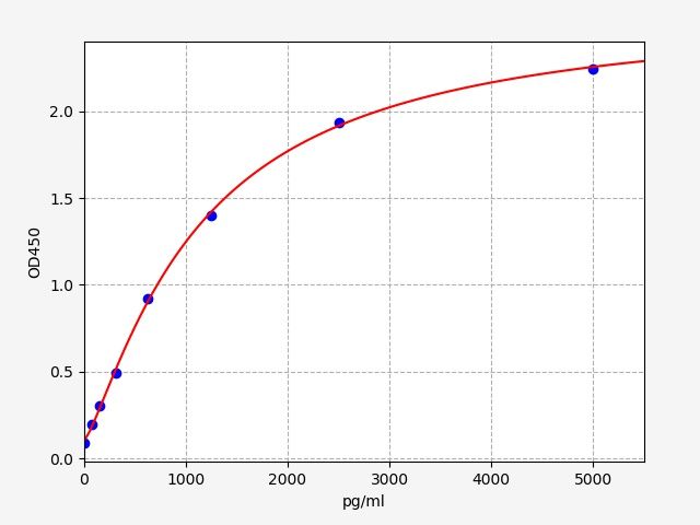 Rat RAC-gamma serine/threonine-protein kinase (AKT3) ELISA Kit EKFT18594RAT