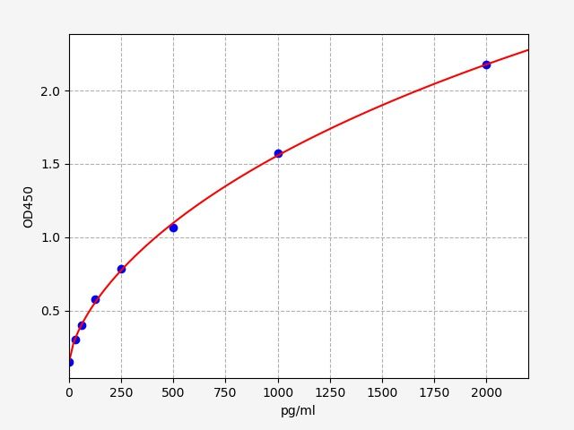 Rat Matrix metalloproteinase-14 (MMP14) ELISA Kit EKFT18622RAT