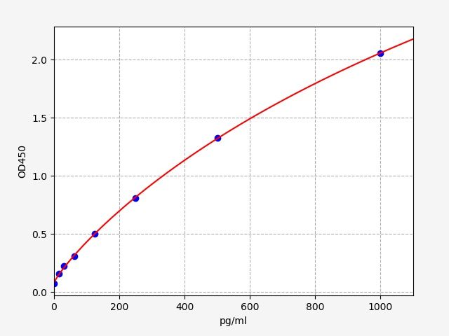 Rat Carboxypeptidase N catalytic chain (Cpn1) ELISA Kit EKFT18663RAT