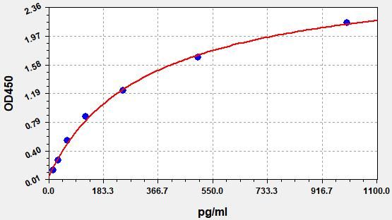 Rat Myoblast determination protein 1 (Myod1) ELISA kit EKFT18675RAT