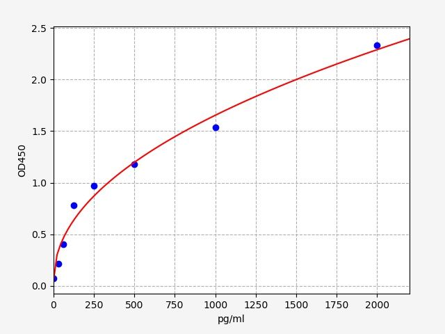 Rat Neurogenic locus notch homolog protein 1 (NOTCH1) ELISA Kit EKFT18730RAT