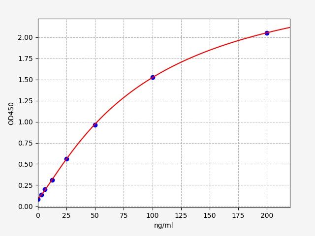 Rat Complement Factor Bb (CBb) ELISA Kit EKFT18749RAT