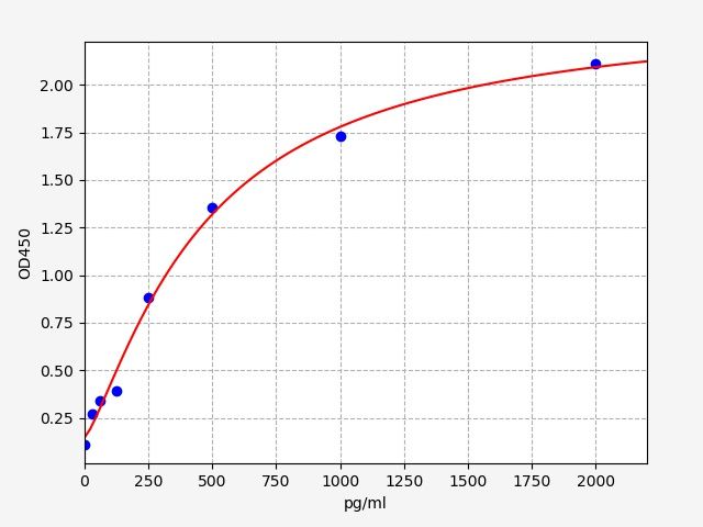 Rat Cleft lip and palate transmembrane protein 1 homolog (Clptm1) ELISA Kit EKFT18753RAT