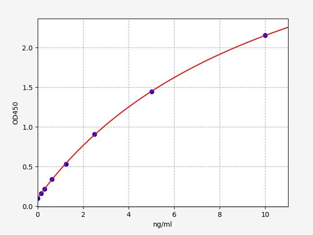 Rat Tubulin beta-3 chain (Tubb3) ELISA Kit EKFT18801RAT