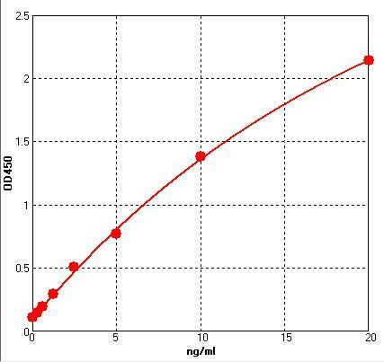 Rat Beta-thromboglobulin (Beta-TG) ELISA Kit EKFT18803RAT