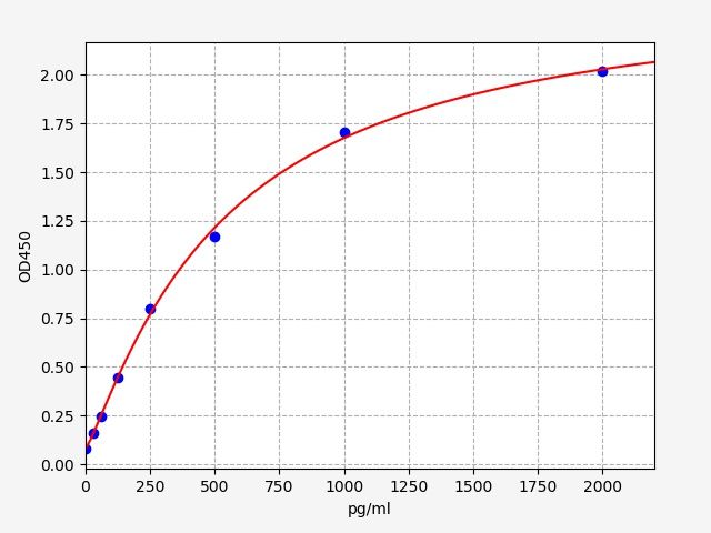 Rat Integrin beta-3 (ITGB3) ELISA Kit EKFT18810RAT