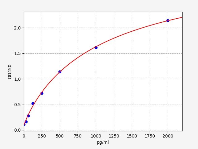 Rat Elongation factor G, mitochondrial (GFM1) ELISA Kit EKFT18815RAT