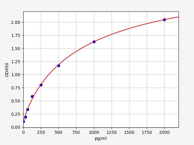 Rat 5-hydroxytryptamine receptor 2A (HTR2A) ELISA Kit EKFT18816RAT