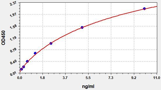 Rat Calcitonin gene-related peptide type 1 receptor (Calcrl) ELISA Kit EKFT18843RAT
