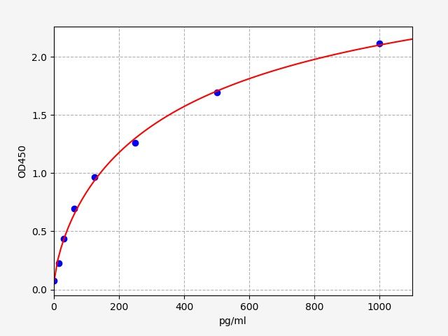 Rat Kelch-like ECH-associated protein 1 (Keap1) ELISA Kit  EKFT18869RAT