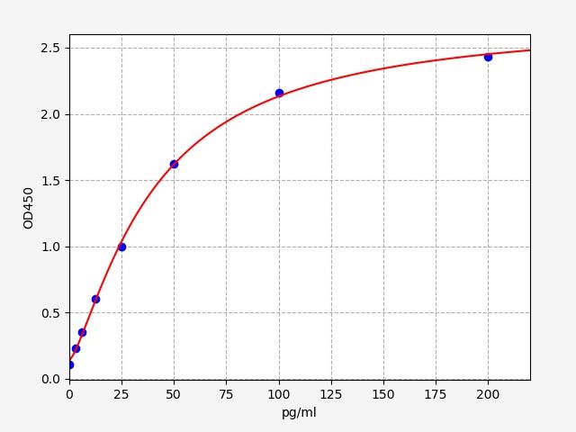 Rabbit Interferon Gamma (IFN-γ) ELISA Kit EKFT18934RB
