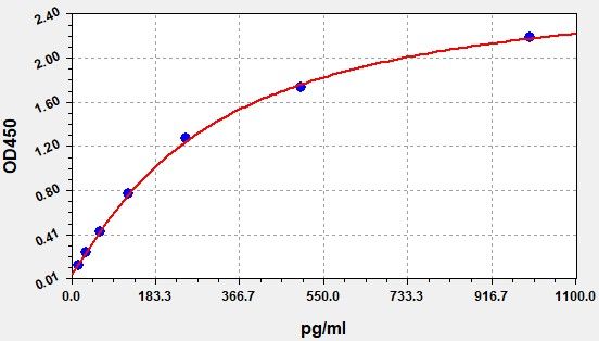 Rabbit Interleukin 6 (IL-6) ELISA Kit EKFT18949RB