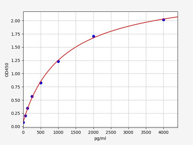 Rabbit Osteoprotegerin (OPG) ELISA Kit EKFT19013RB