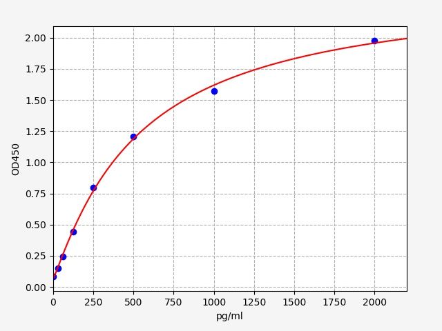 Rabbit Neuron-Specific Enolase (NSE) ELISA Kit EKFT19026RB