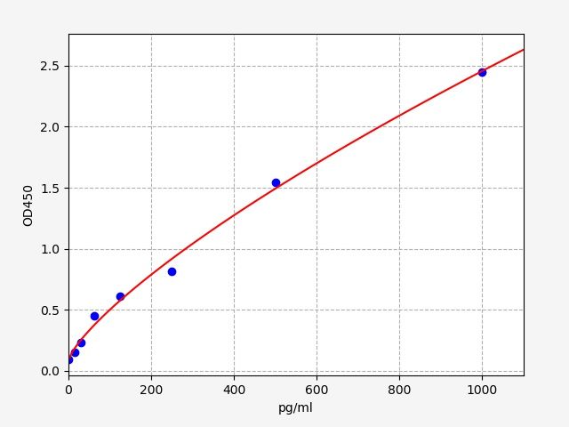 Rabbit Tumor Necrosis Factor β (TNF-β) ELISA Kit EKFT19045RB