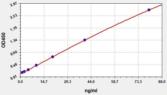 Sheep Immunoglobulin G1 (IgG1) ELISA Kit EKFT19084SP