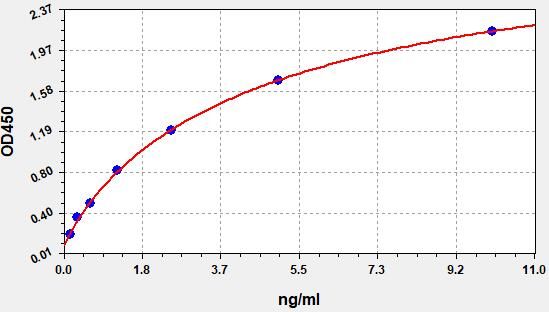 Sheep T-cell surface glycoprotein CD4 (CD4) ELISA Kit EKFT19115SP