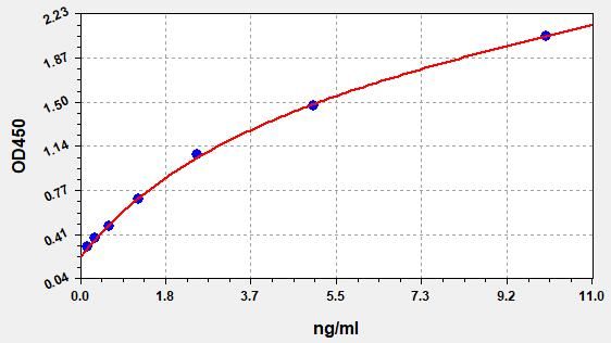 Sheep Immunoglobulin A (IgA) ELISA Kit EKFT19136SP