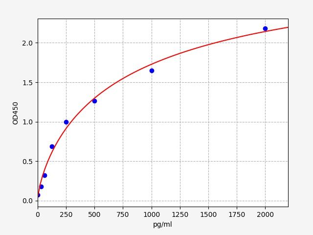 Sheep Nitric oxide synthase, endothelial (NOS3) ELISA Kit EKFT19141SP