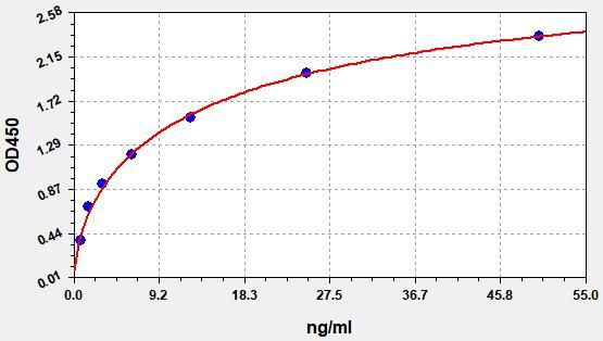 Ovalbumin (OVA) ELISA Kit EKFT19284UV