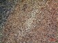 Integrin alpha 4 Rabbit pAb ABZ1544