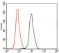 Prostate Specific Antigen Mouse mAb ABZ4095
