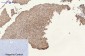 Cytokeratin 8 (10A5) Mouse mAb ABZ4096