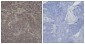 Phospho-CREB (Ser142) Rabbit pAb ABZ4493